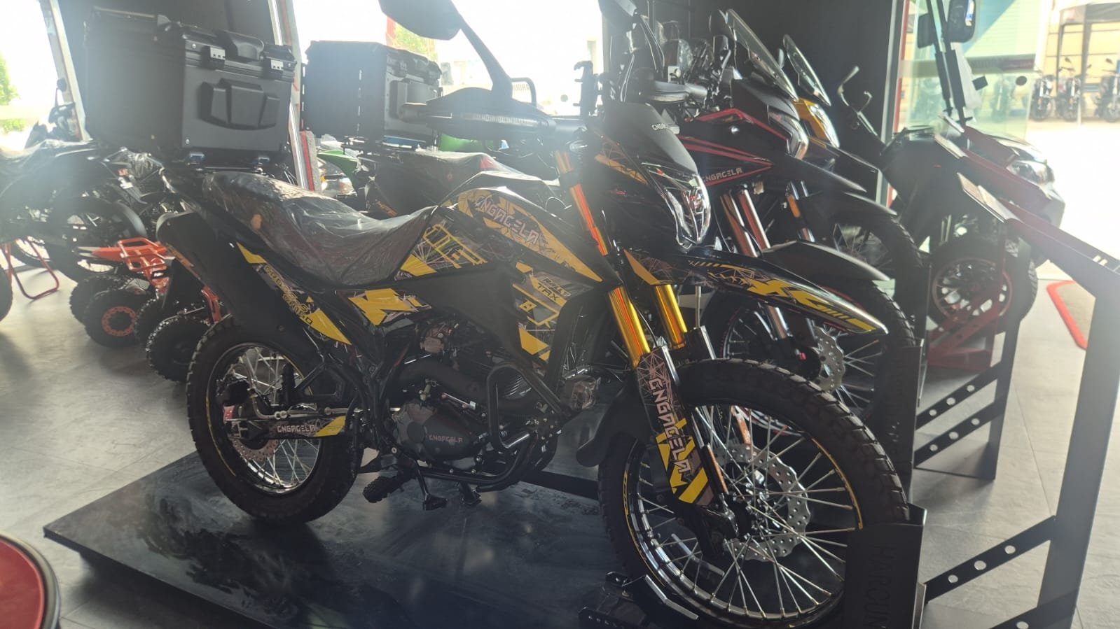 Moto équipée de bagagerie au showroom Haroun Bike